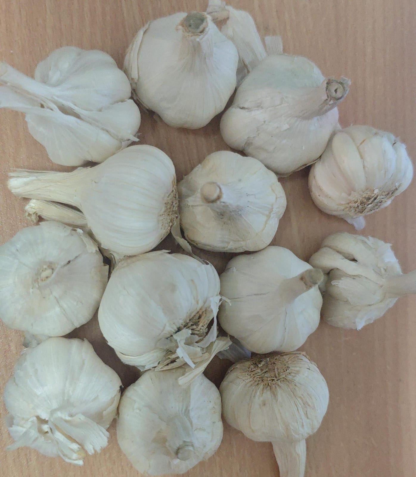 GARLIC 100gm